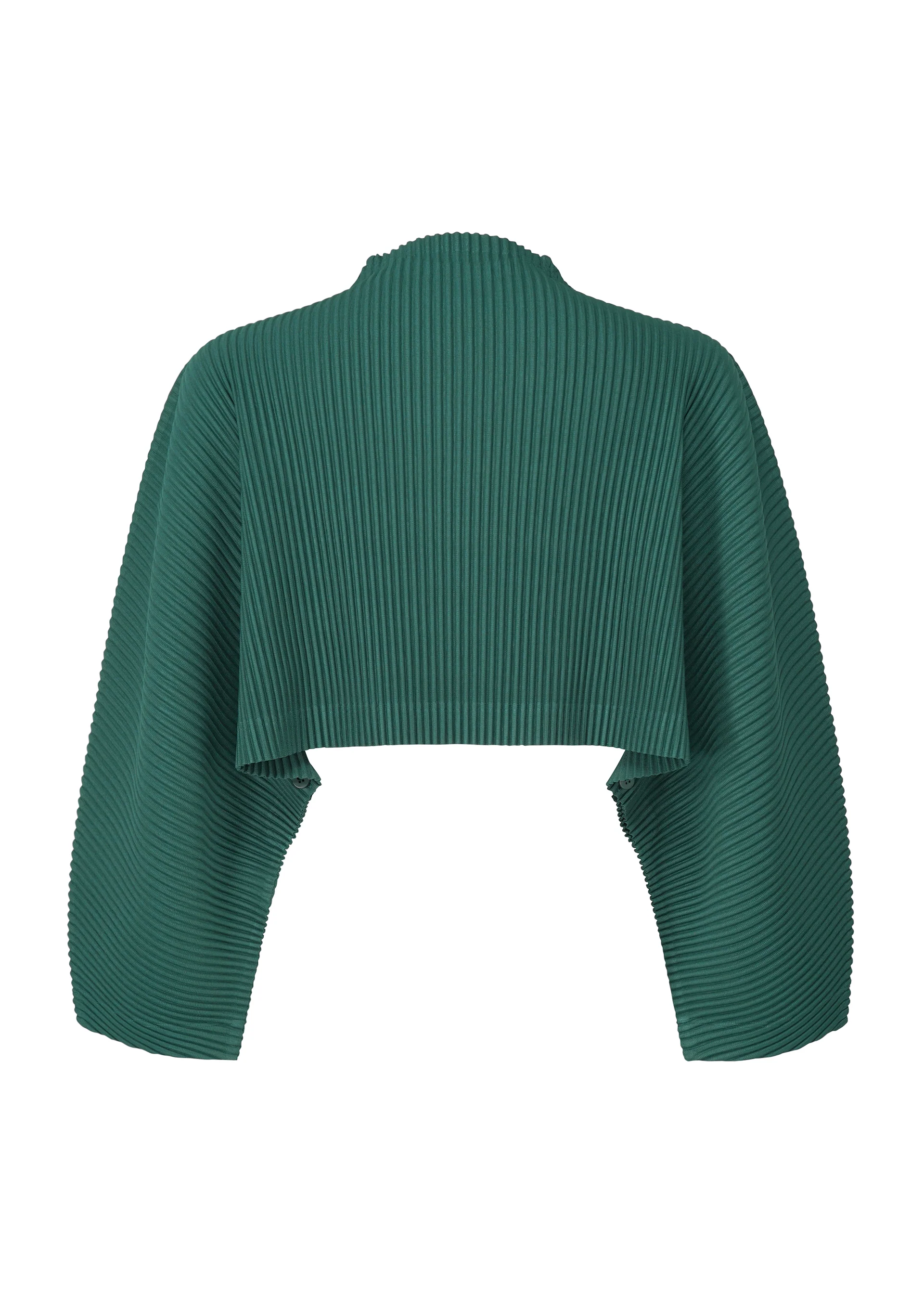 COLOR PLEATS 1 - Image 4