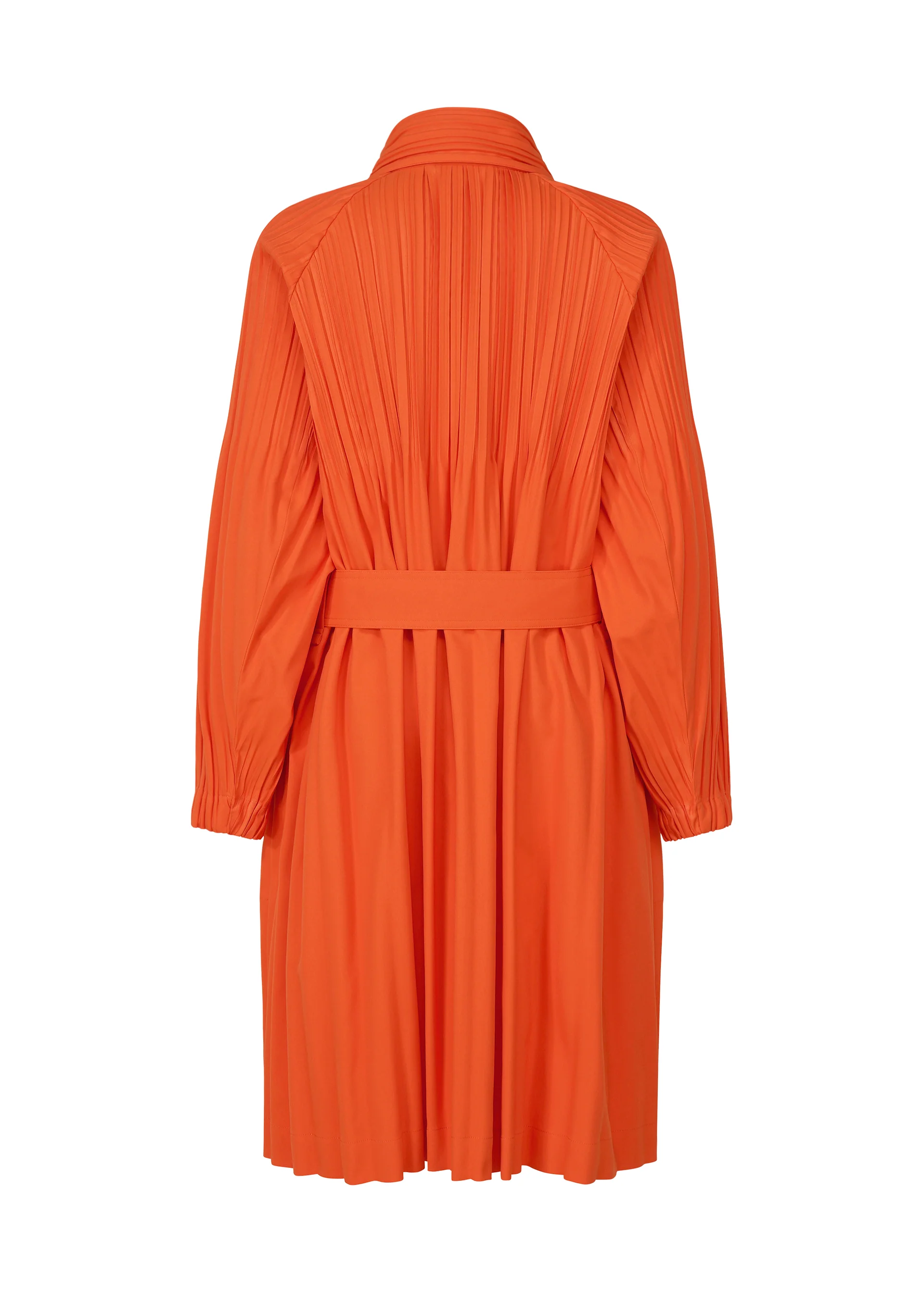 SMOOTH COAT - Image 4